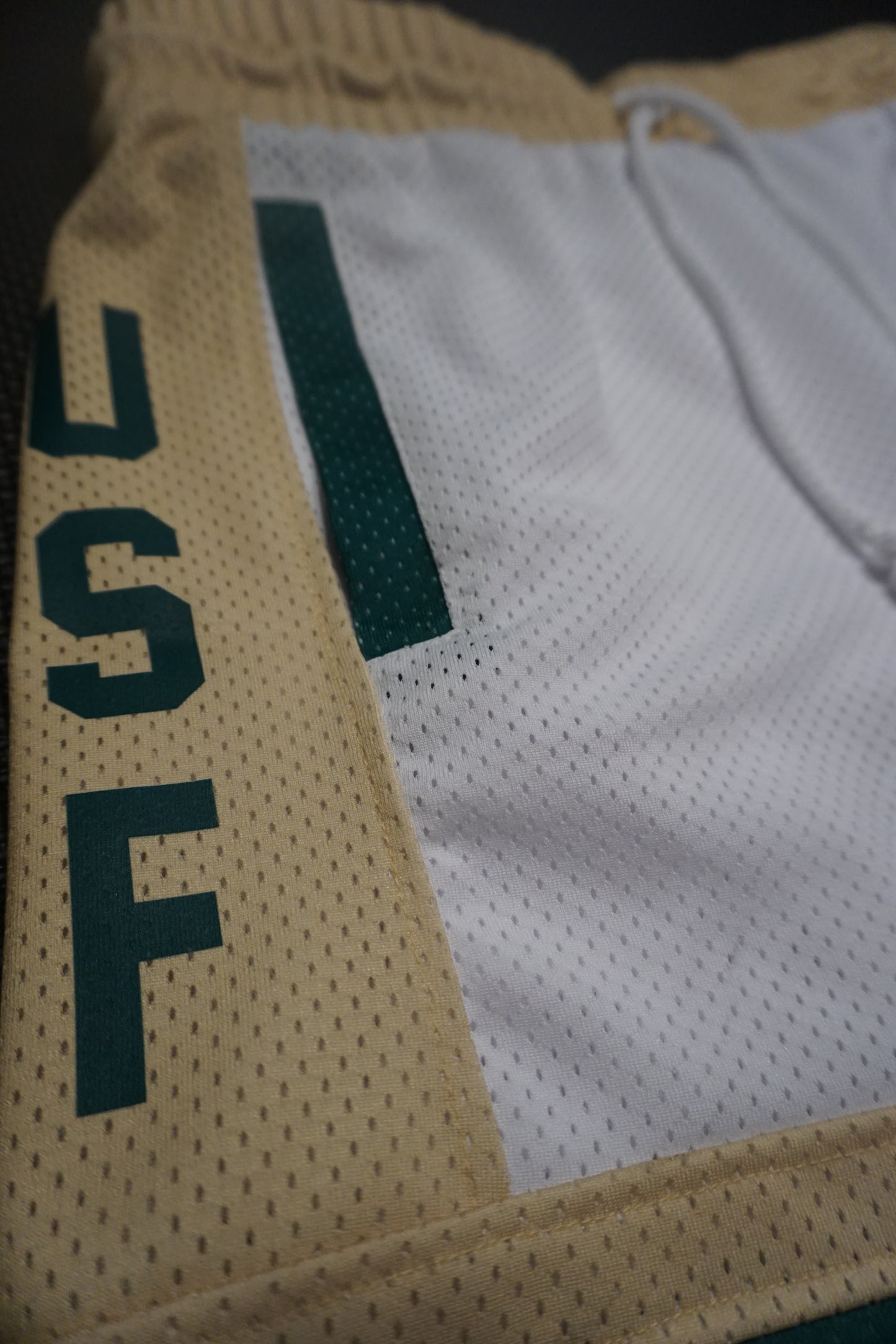 USF Gold Shorts